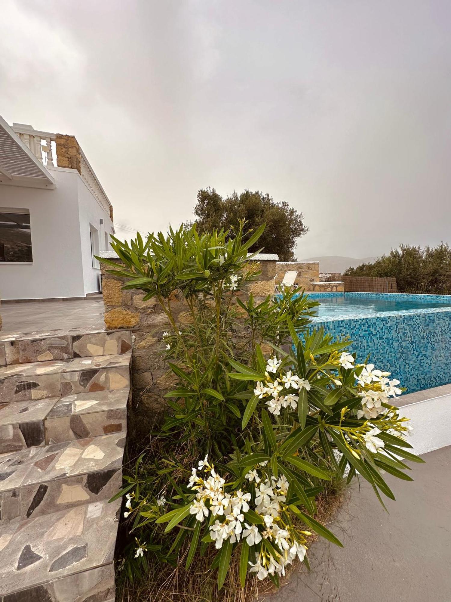 Eleon Luxury Villa Karpathos Town  Exterior photo